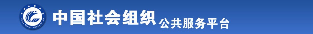 激情操逼视频网站全国社会组织信息查询